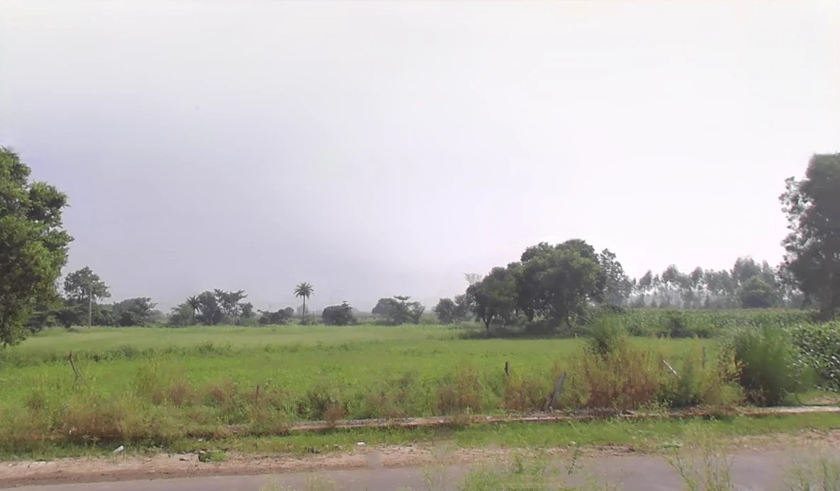 Raipur Rani, Haryana 134204, India preview 3