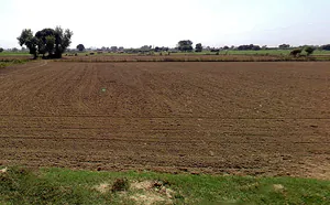 Surir, Uttar Pradesh 281205, India preview 2