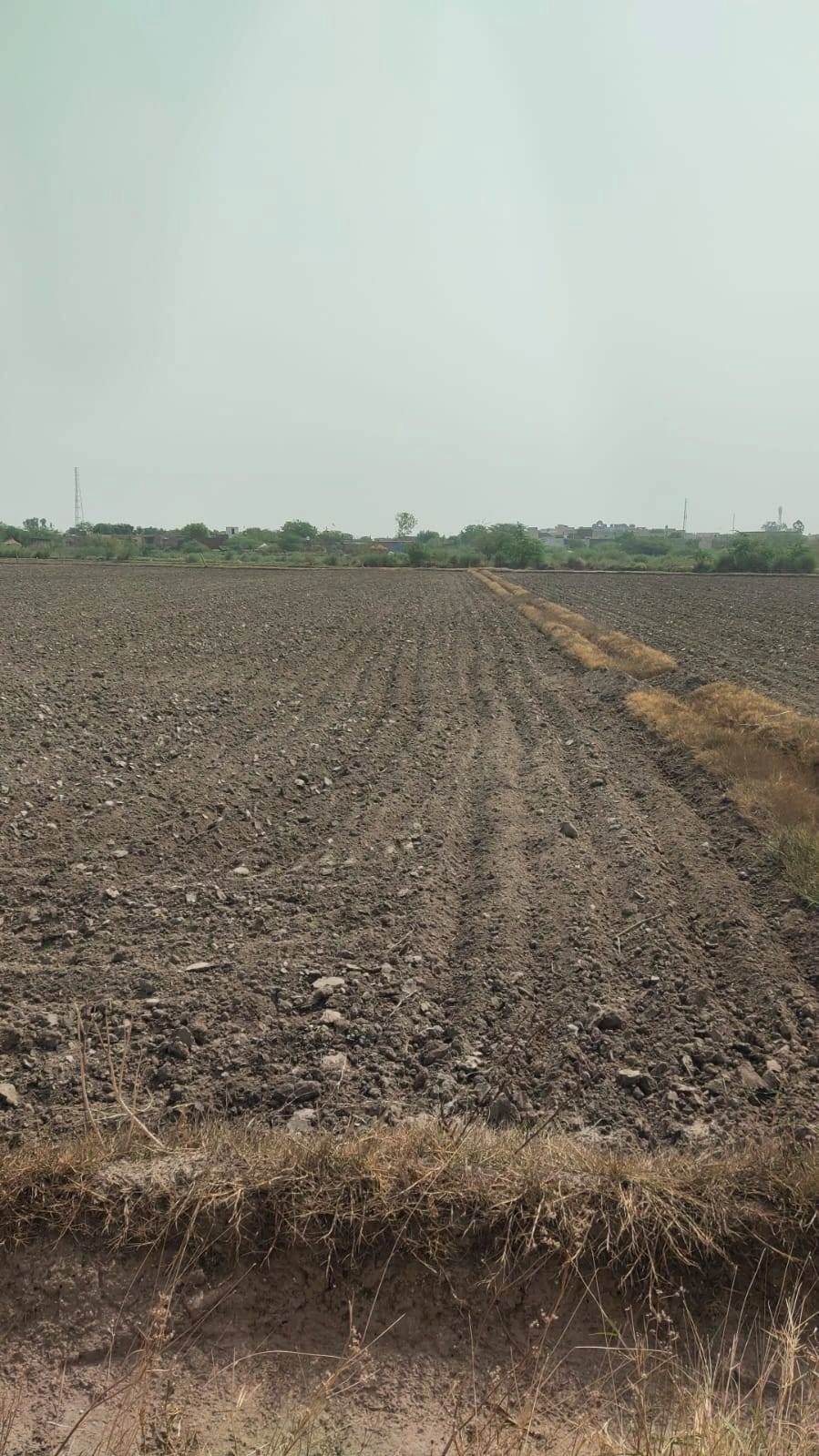 Agroha, Haryana 125047, India preview 3