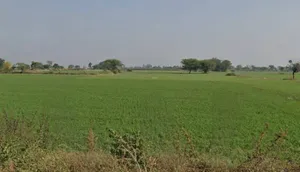 Bhopal, Madhya Pradesh, India preview 2