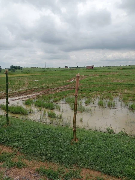 Turgawan, Uttar Pradesh, India preview 2