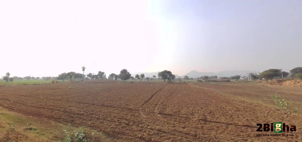 Sargoth, Rajasthan 332404, India