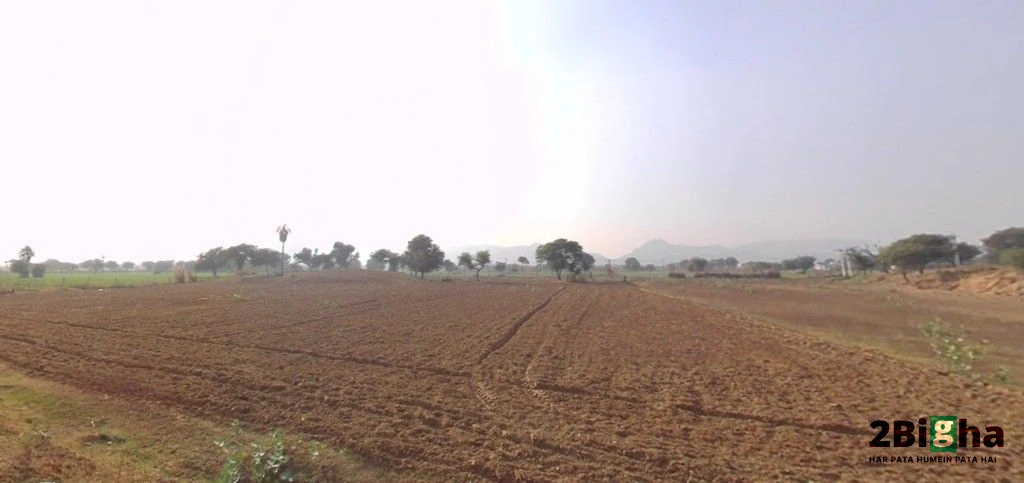 Sargoth, Rajasthan 332404, India