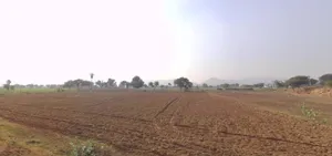 Sargoth, Rajasthan 332404, India preview 3