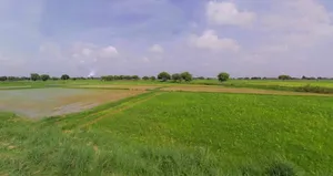 Vijaynagar, Rajasthan 323602, India preview 2