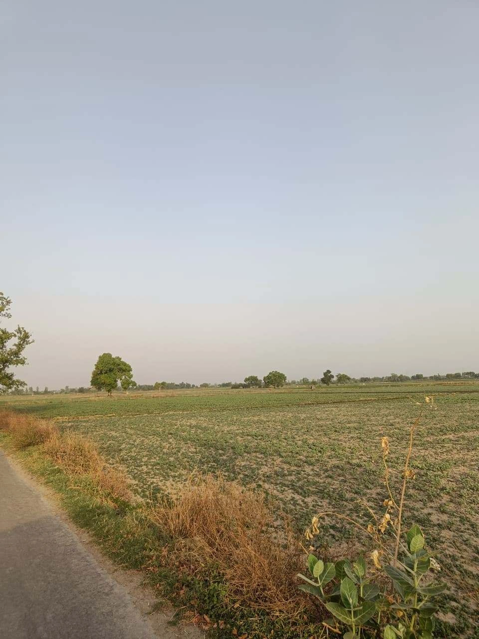 Tentigaon, Uttar Pradesh, India