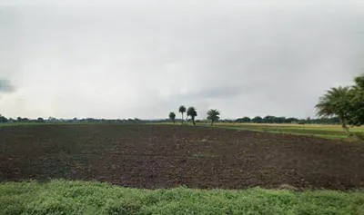Dharola, Madhya Pradesh 465445, India preview 3