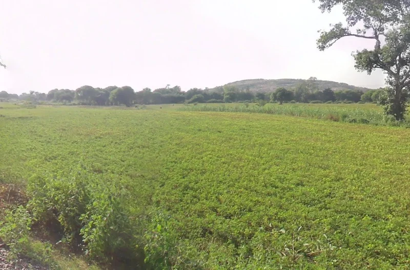 Badgaon, Chhattisgarh, India preview 2