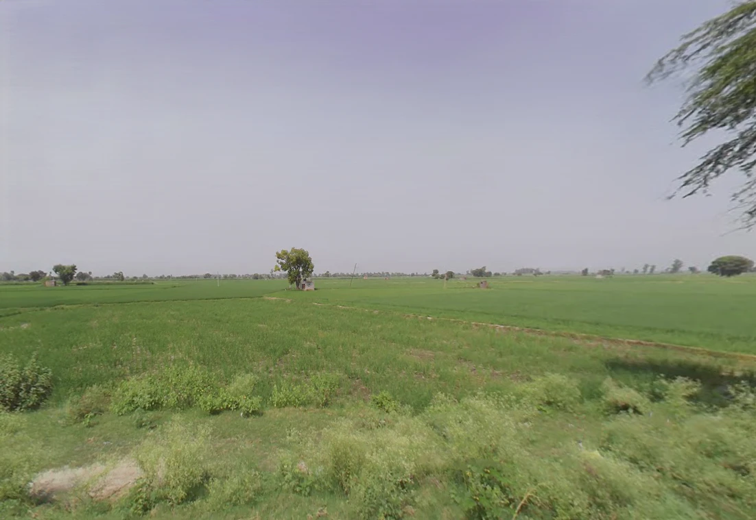 Rakshera, Haryana 132115, India