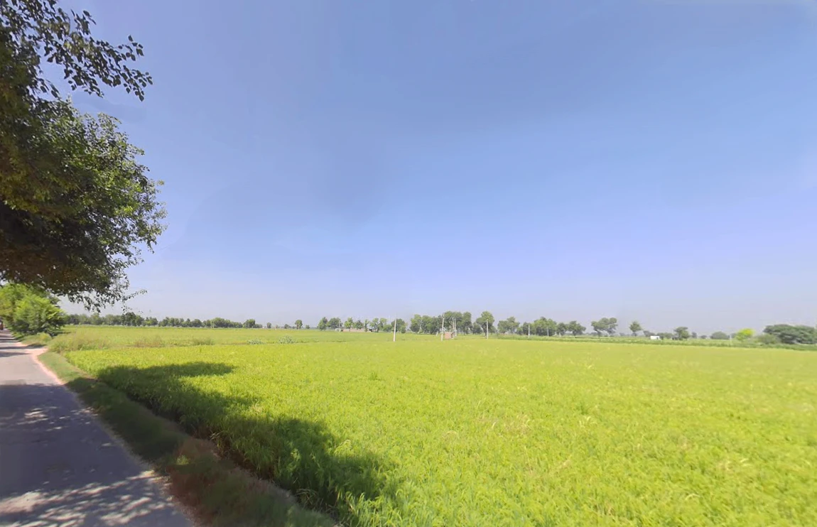 Village Baba Bhuman Shah, Sangar Sadha, Haryana 125054, India