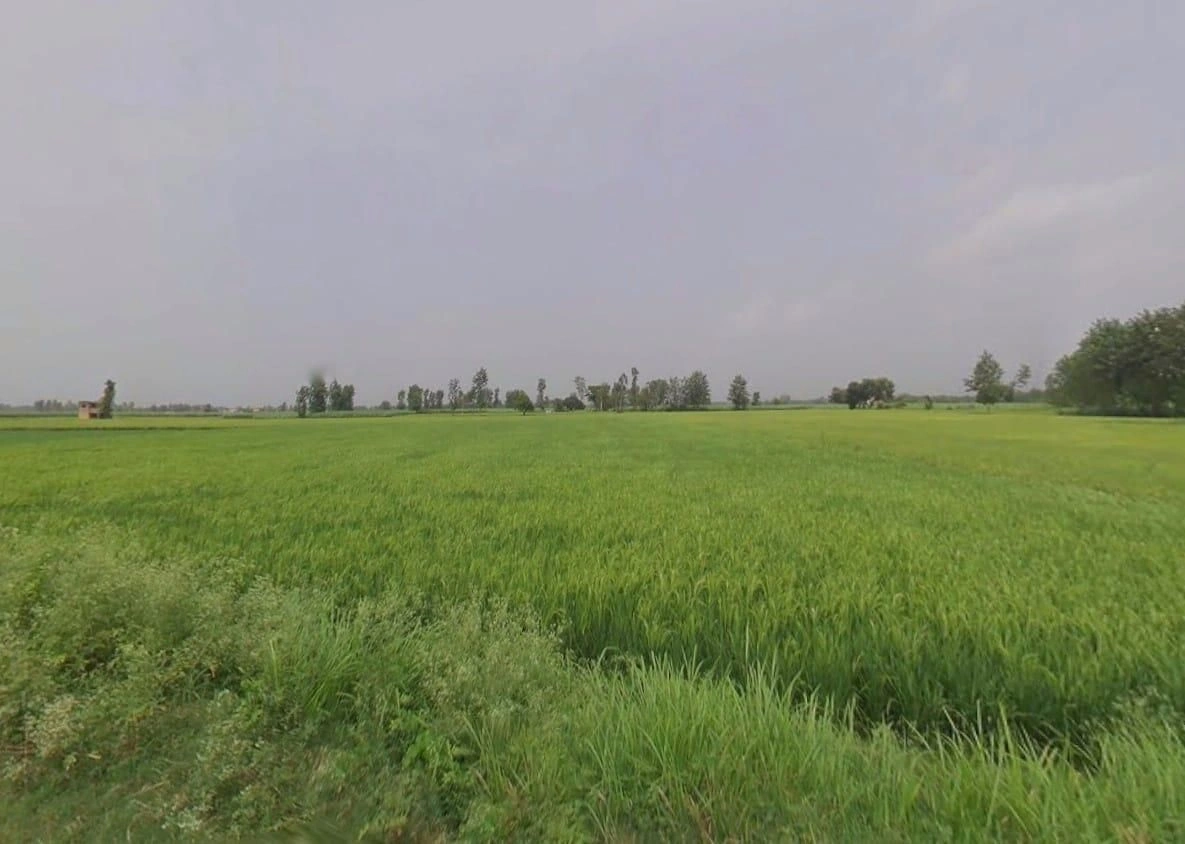 QXH8+F2 Firozpur Jhirka, Haryana, India preview 2