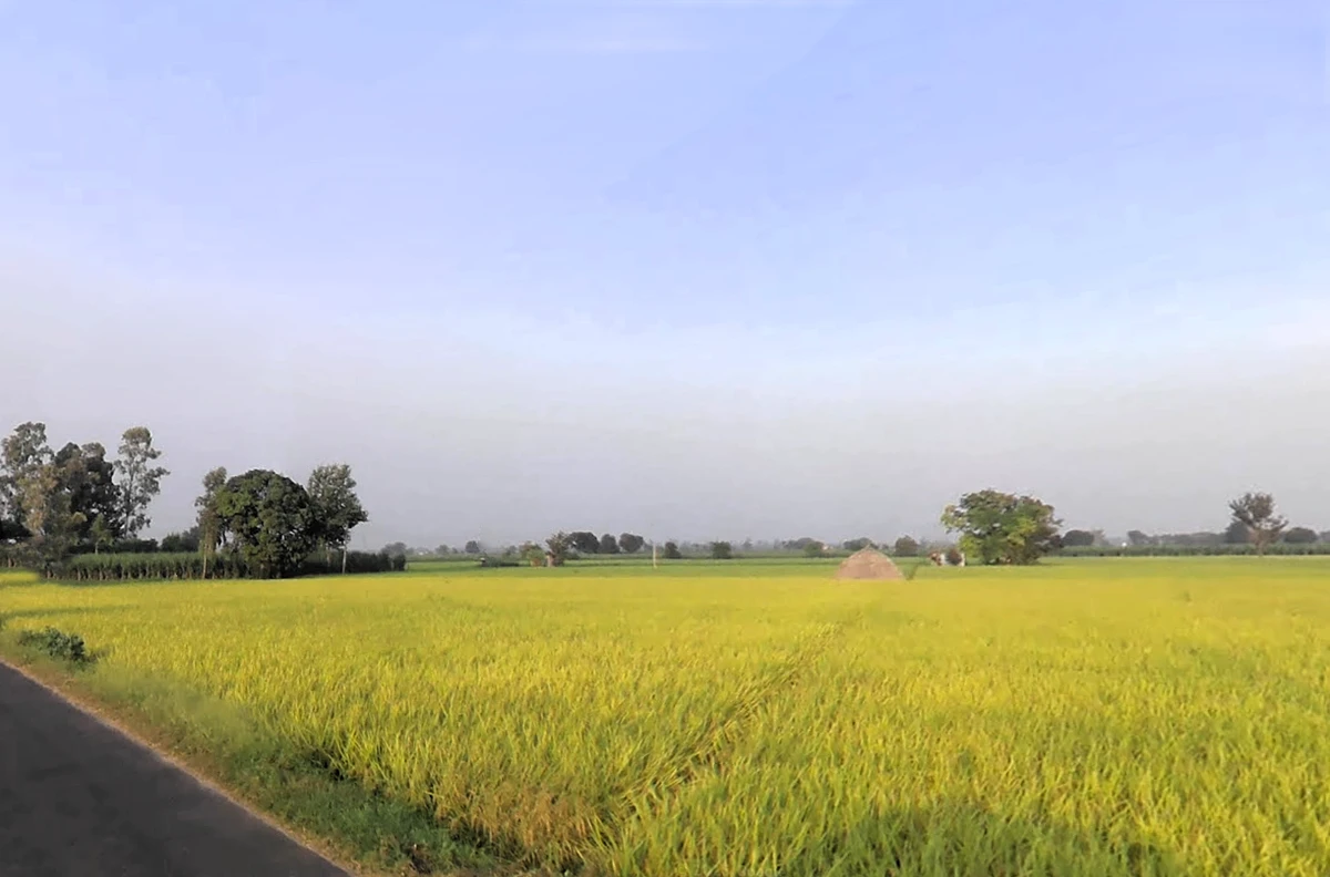 Ladwa, Haryana 136132, India