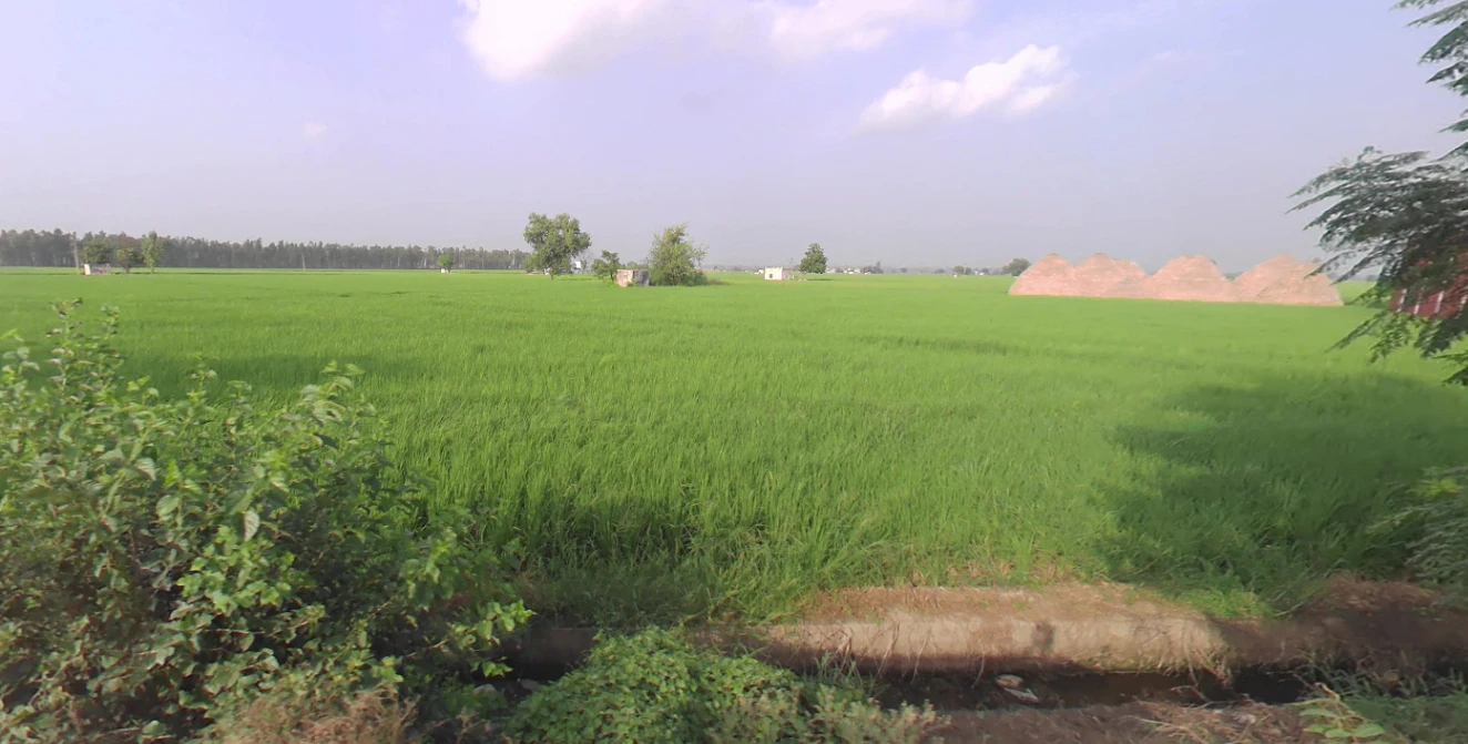 Rajpur, Uttar Pradesh 245207, India
