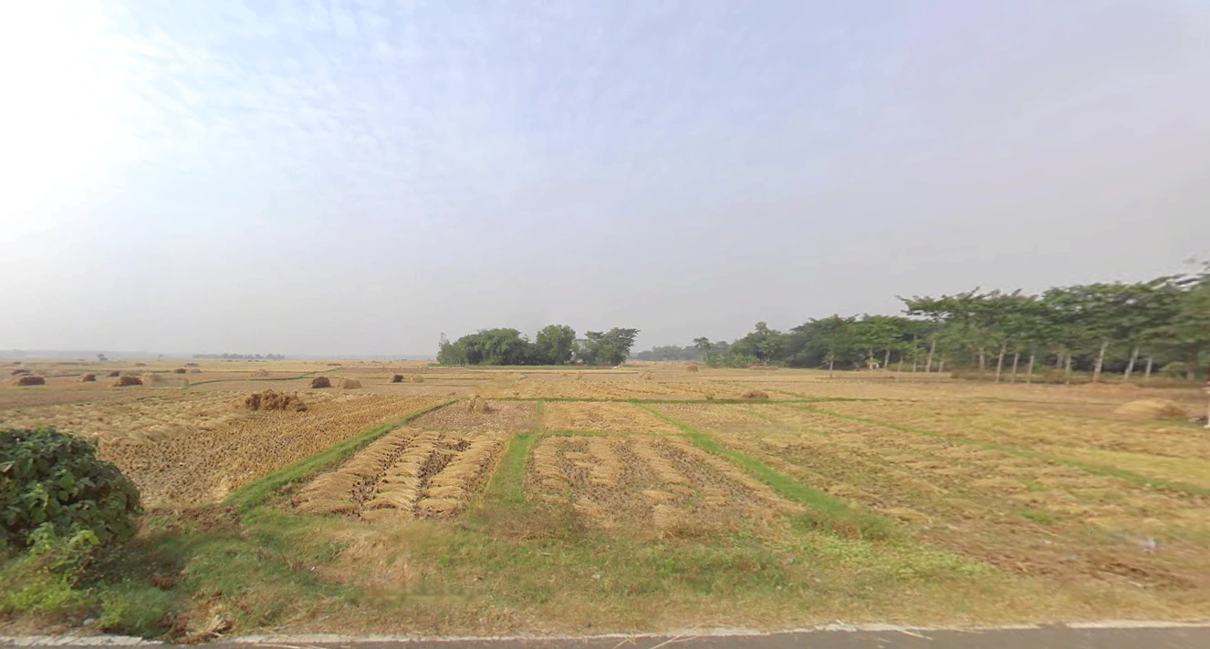 Dakshin Odlabari, West Bengal, India