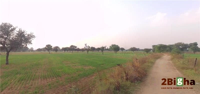 Dhodhsar, Rajasthan 303712, India