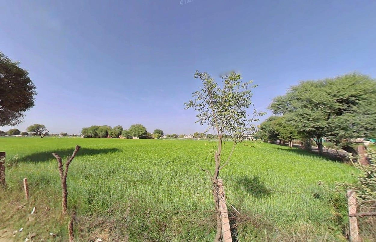 4Q8M+G8 Boodthal, Rajasthan, India