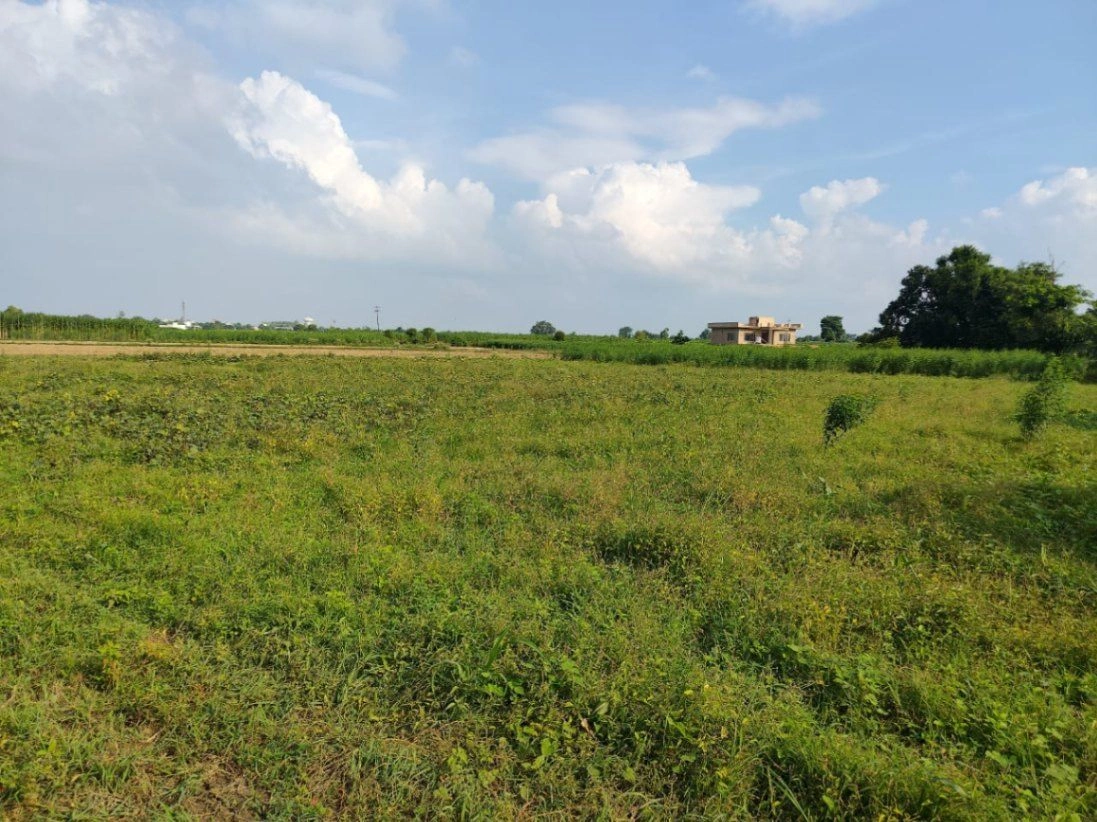 9HCR+4P2, Kanarsa, Uttar Pradesh, India