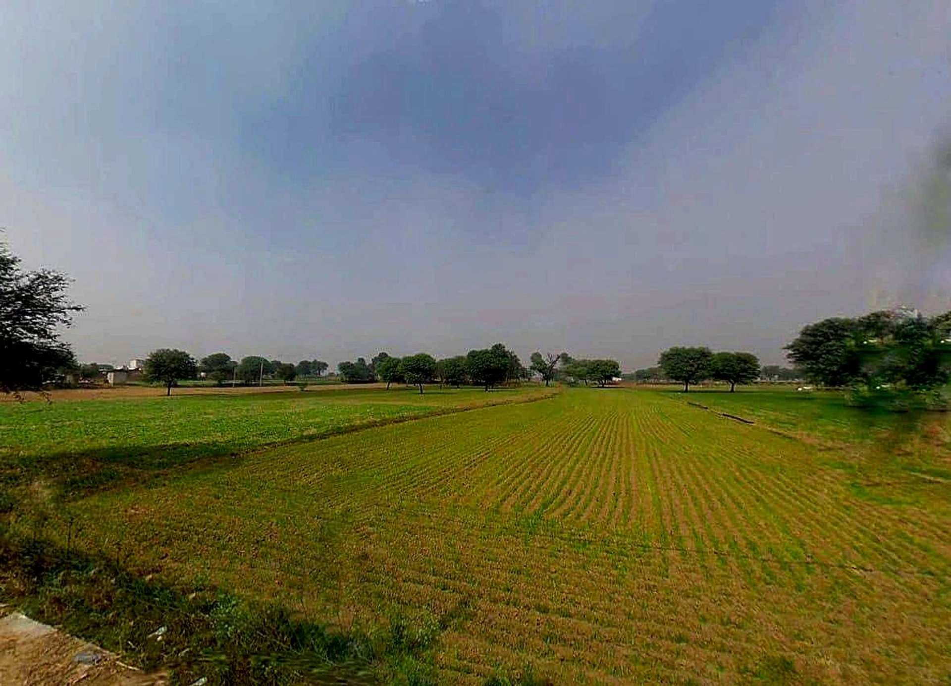 Dhoblai, Rajasthan 303712, India