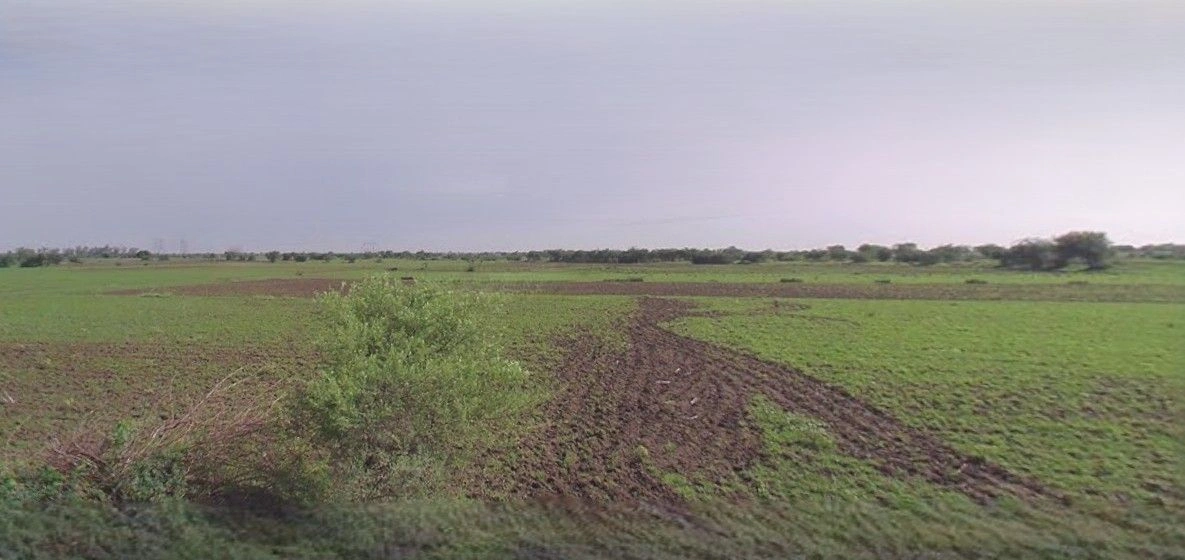 Purwa, Uttar Pradesh, India
