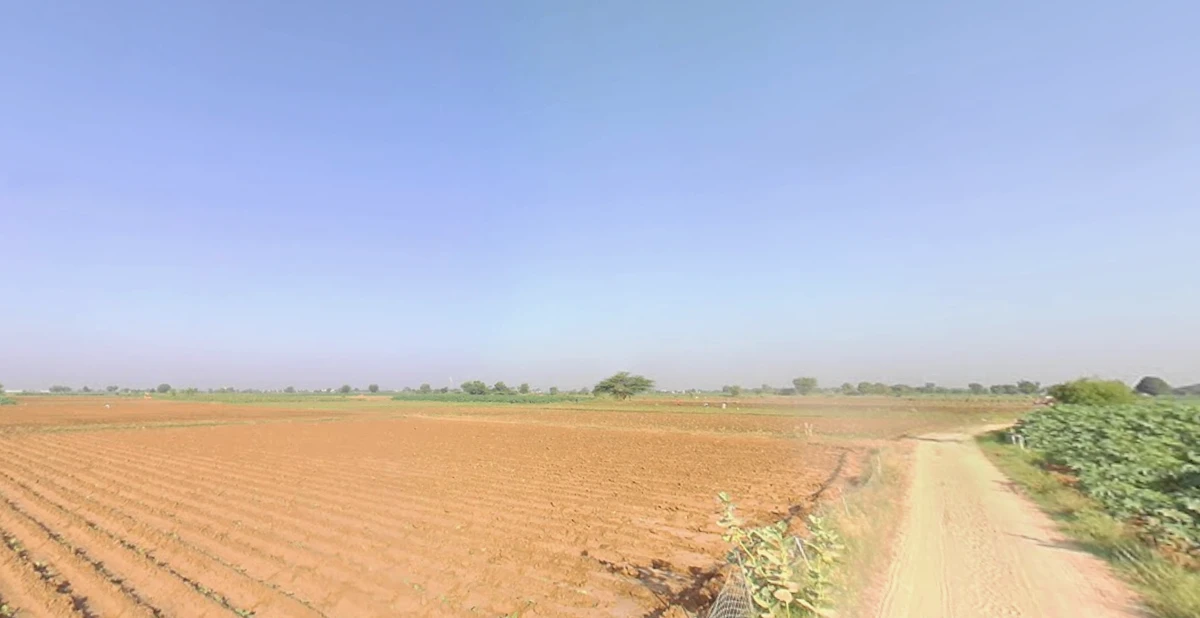 Sodvadar, Gujarat, India