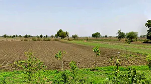 Badgaon, Madhya Pradesh 456443, India preview 3