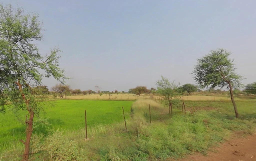 Sungera, Chhattisgarh 493221, India