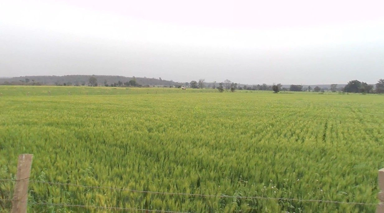 Neemkheda, Madhya Pradesh 482021, India