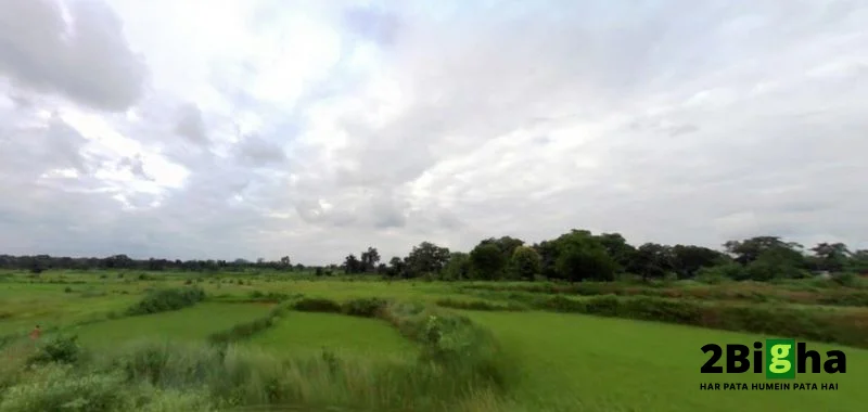 Salukchapra, Jharkhand 828201, India preview 2