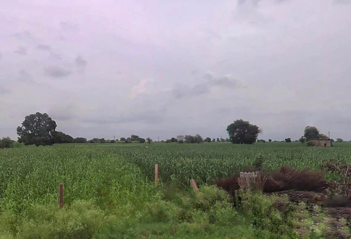 25CH+PR7, Bharatpur Rd, Weir, Rajasthan 321408, India