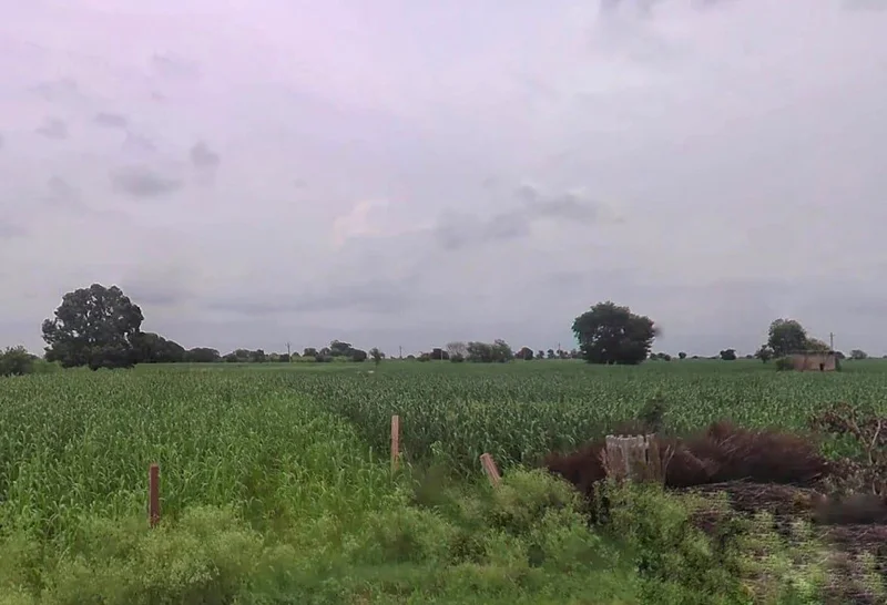 25CH+PR7, Bharatpur Rd, Weir, Rajasthan 321408, India preview 2