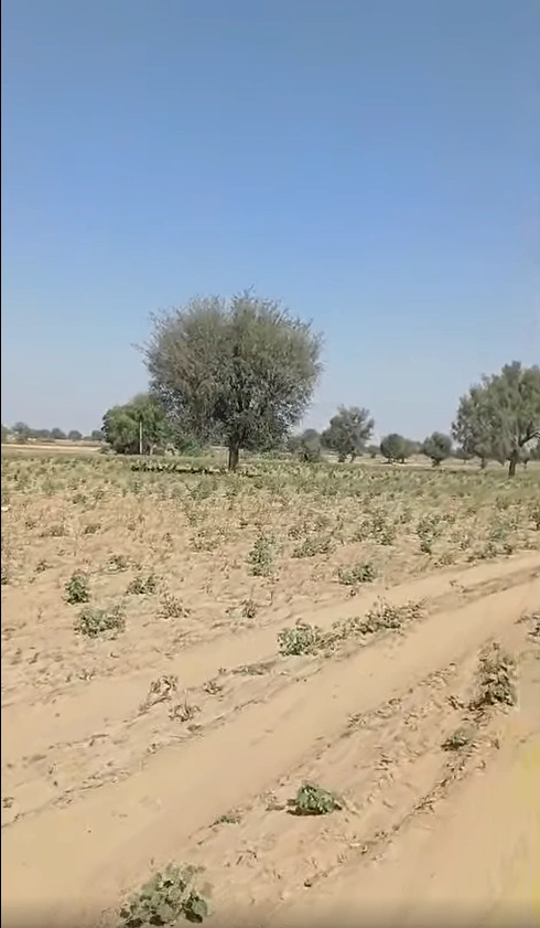 GFR8+FP Neemgaon, Mathura, Uttar Pradesh, India