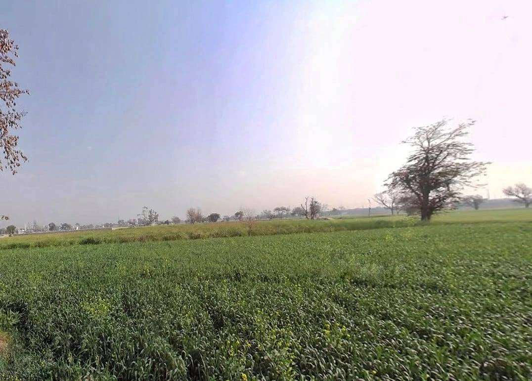 FRJW+9FJ, Seetal, Rajasthan 301021, India