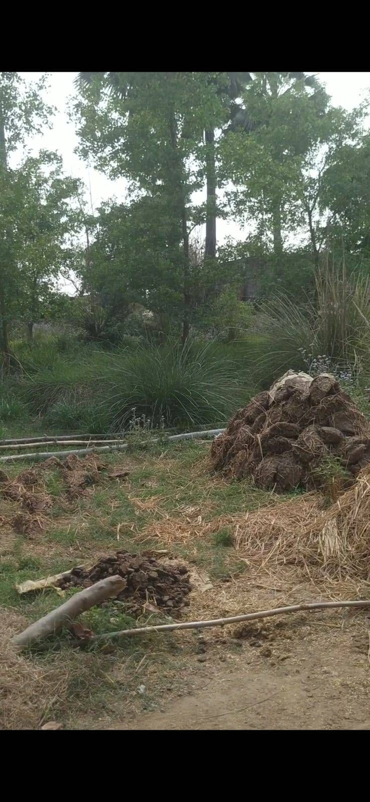 Dhan Ghata, Uttar Pradesh 272162, India