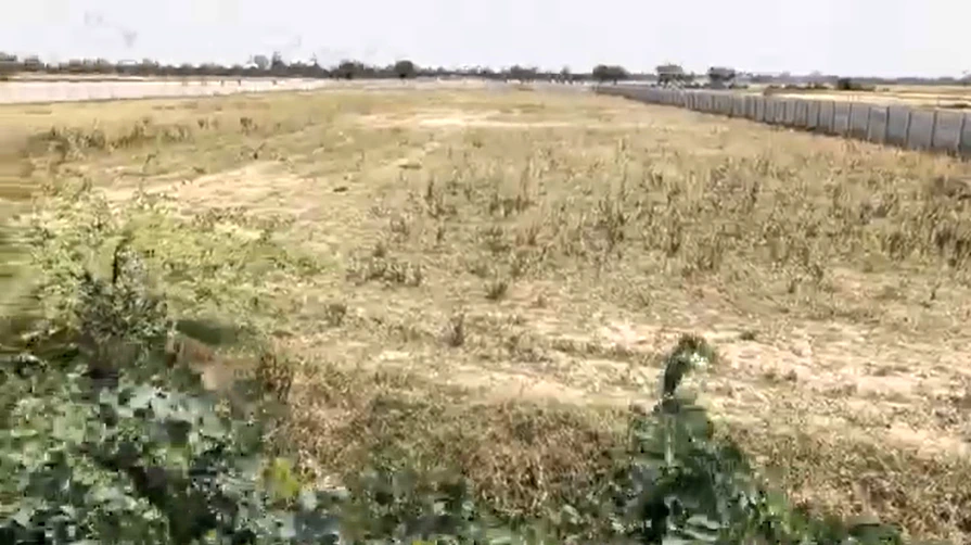 CRHV+9C3, Khandra, Haryana 132113, India
