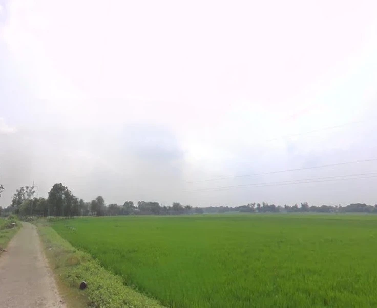Shahpur, Uttar Pradesh 225301, India
