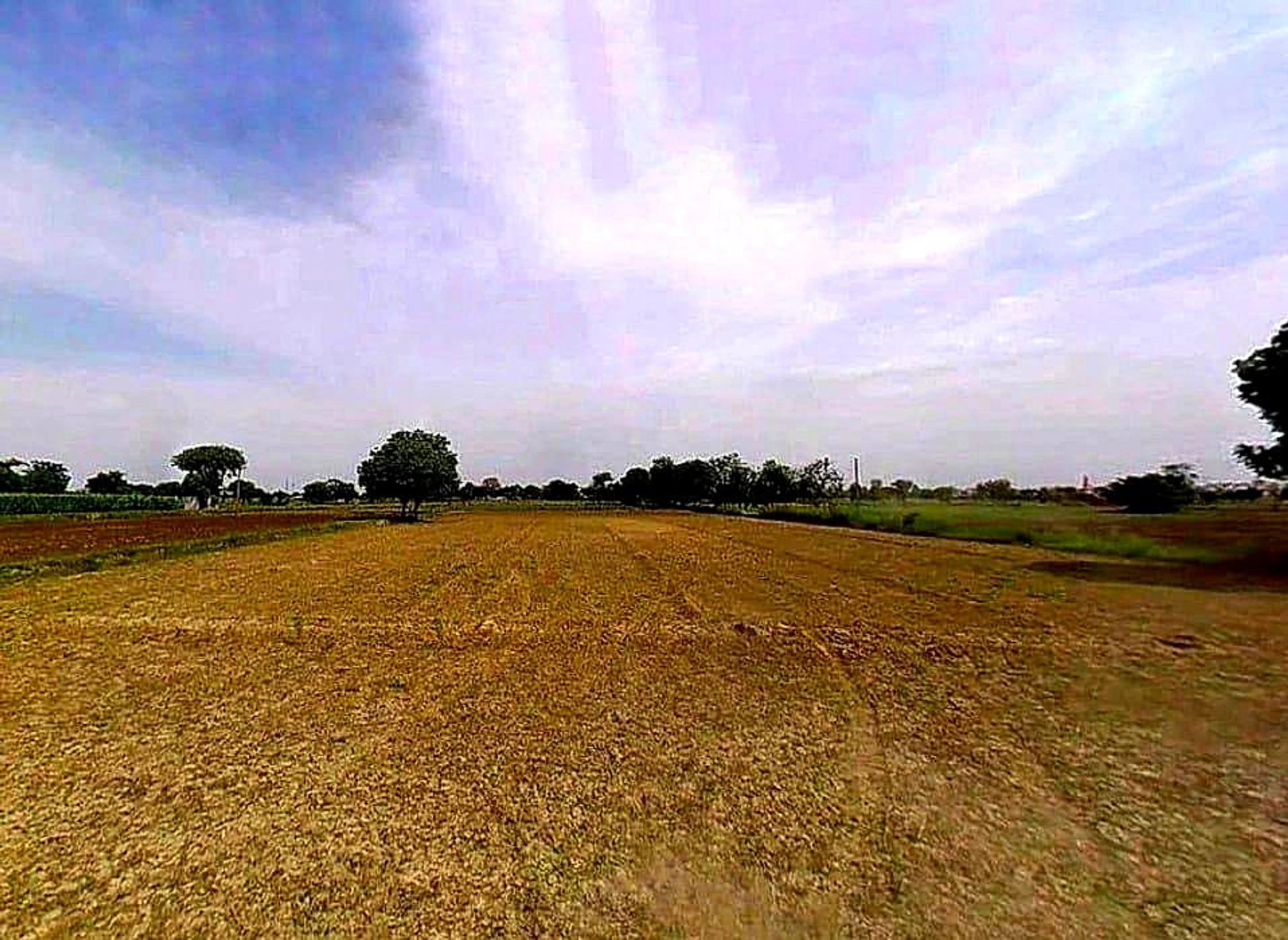 CRJX+8R5, Badnaura, Uttar Pradesh 203001, India