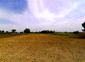 CRJX+8R5, Badnaura, Uttar Pradesh 203001, India preview 3