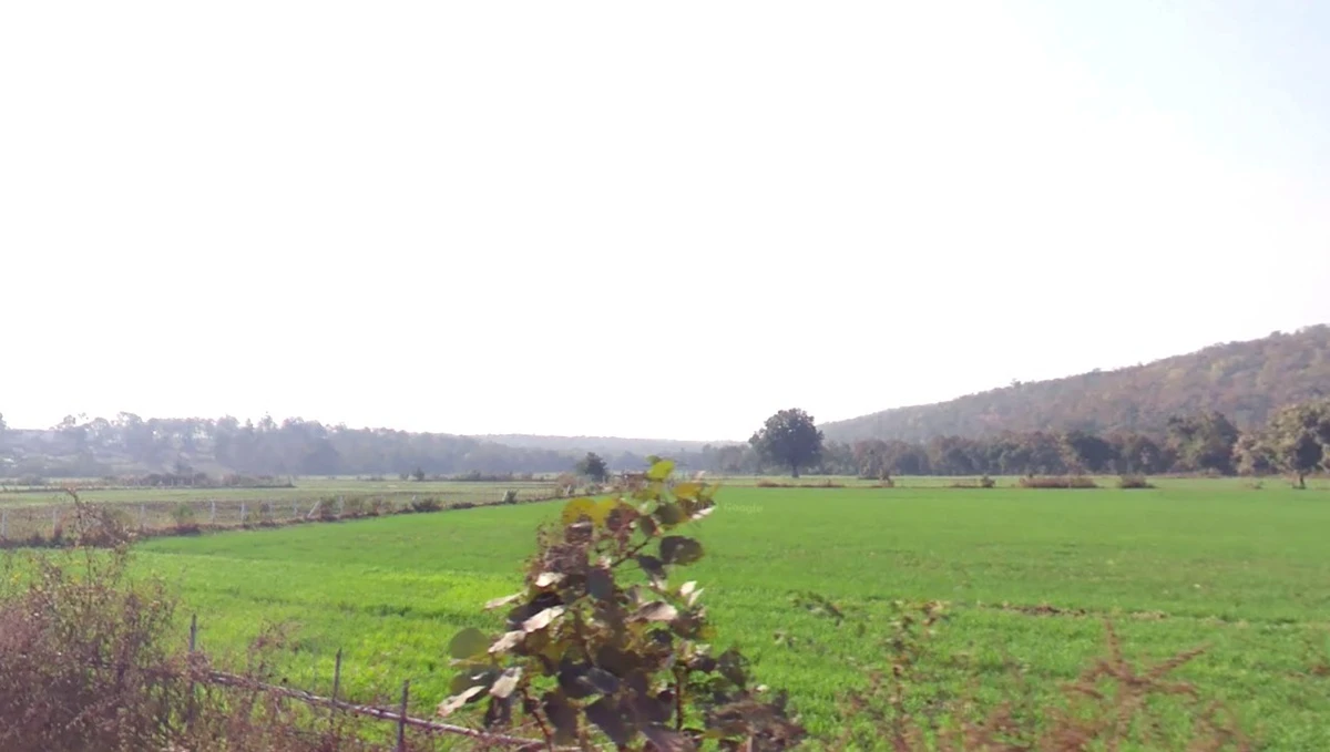 VGMF+V7, Delawadi, Madhya Pradesh 466446, India