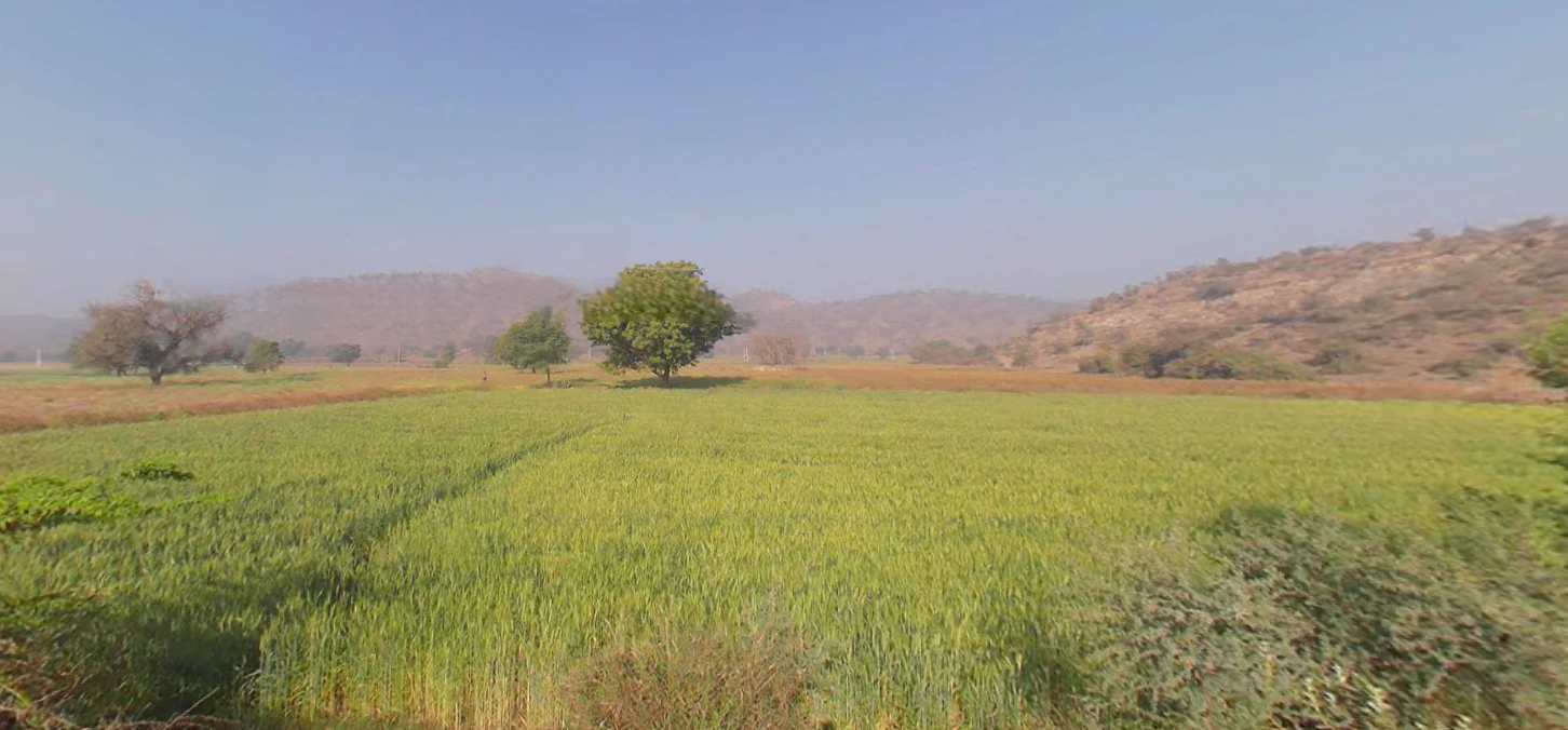 Seetal, Rajasthan 301021, India
