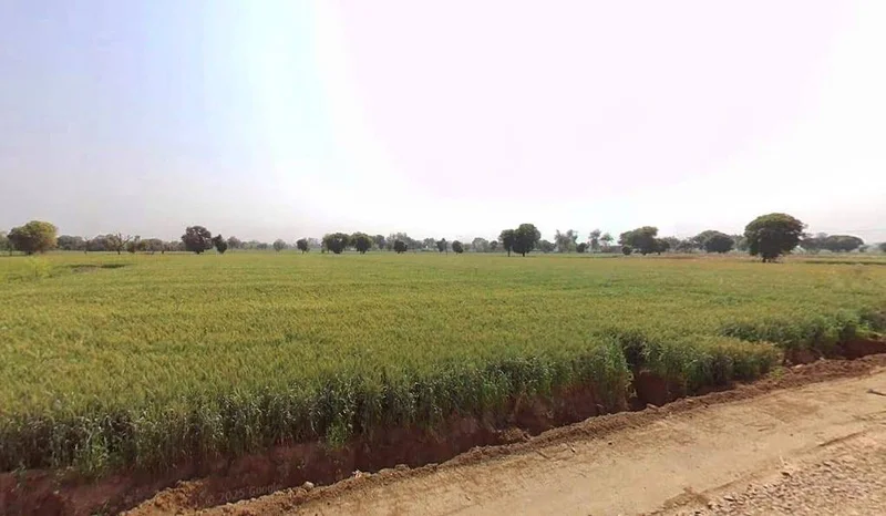 Kherli, Rajasthan 321606, India preview 2