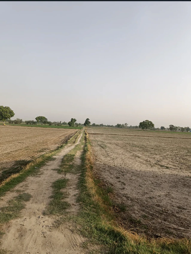 Maina, Rohtak, Haryana, India