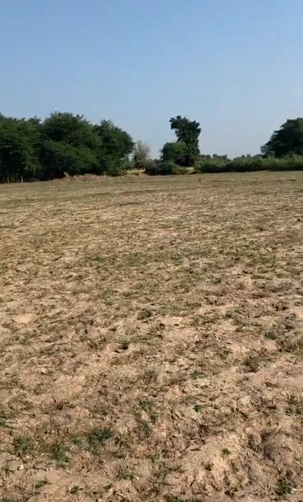 MXV6+P9 Surasamal, Kheda, Gujarat, India