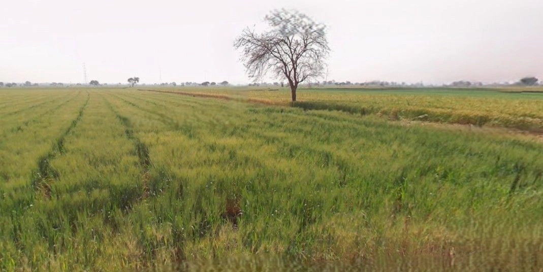 Timarni, Madhya Pradesh 461228, India