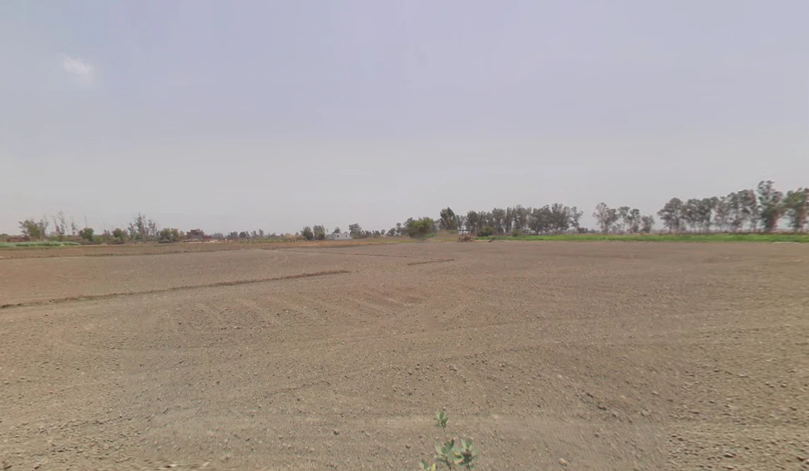 Bass, Haryana 125042, India