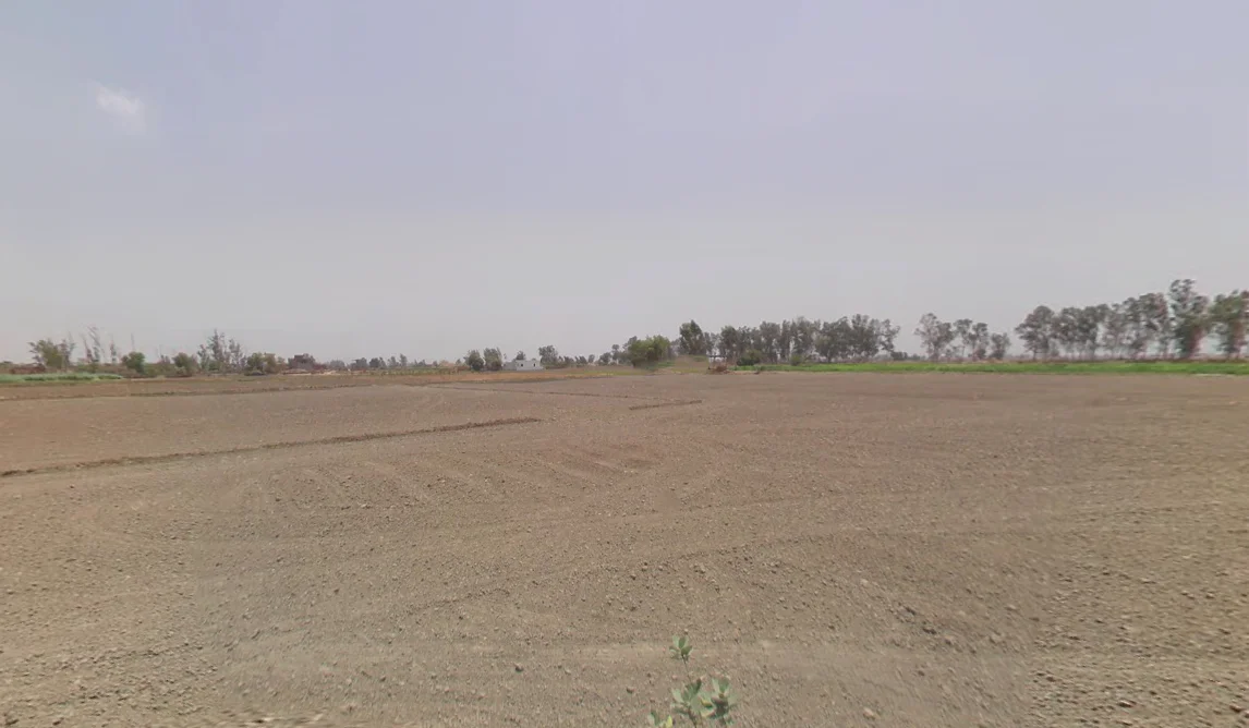 Bass, Haryana 125042, India preview 3