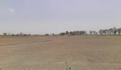 Bass, Haryana 125042, India preview 3