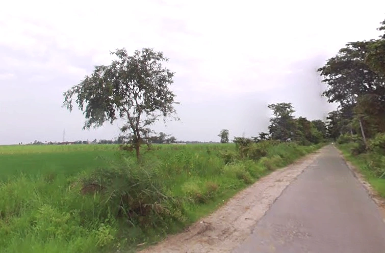 Behsuma, Uttar Pradesh 250401, India