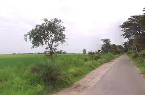 Behsuma, Uttar Pradesh 250401, India preview 3