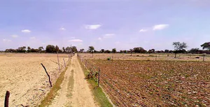 Hasanpur, Uttar Pradesh 244241, India preview 2