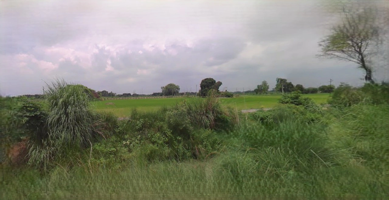 Barnagar, Madhya Pradesh 456771, India